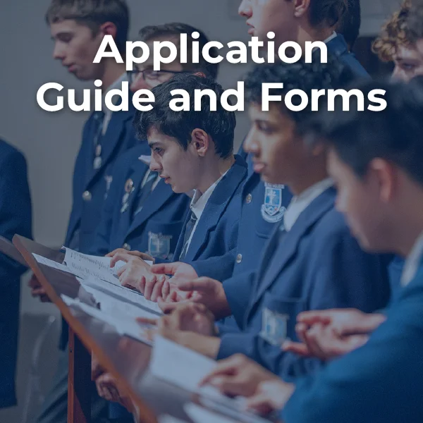 Vice Principal Role